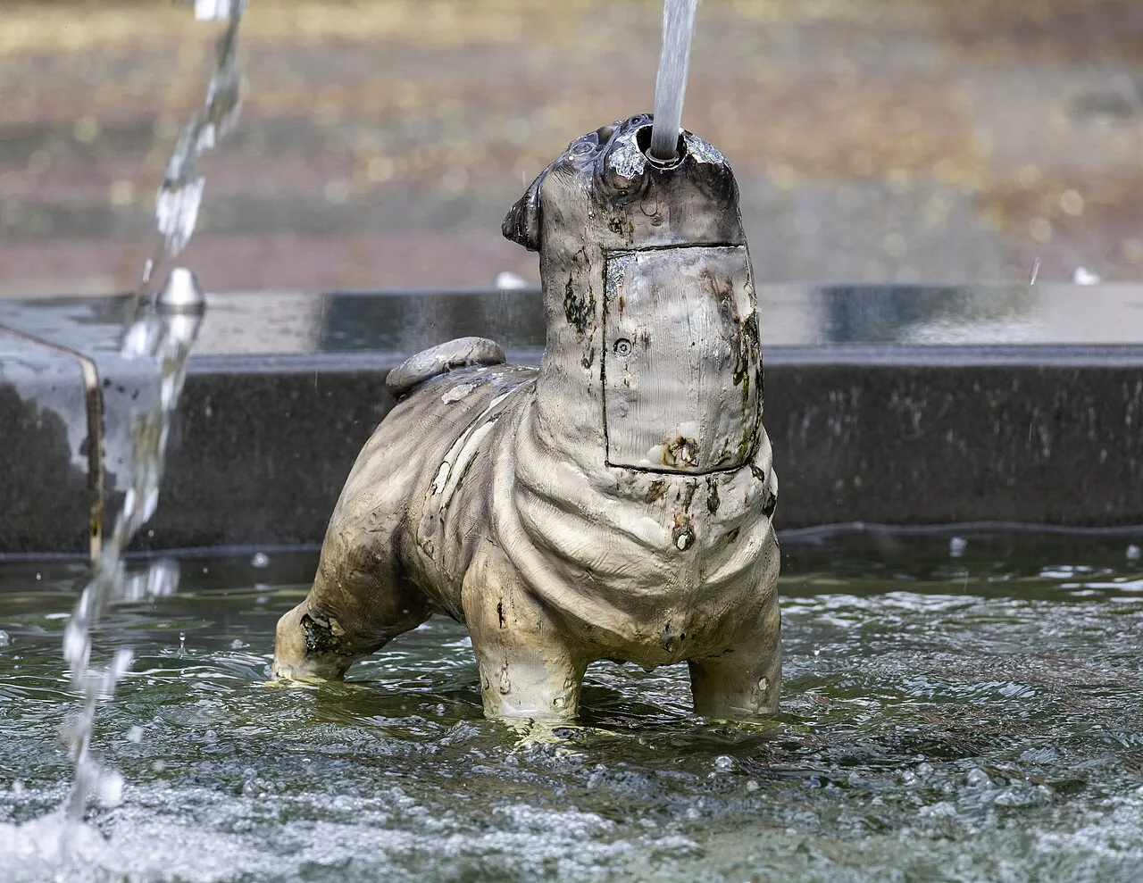 Fountain, Berczy Park, Toronto, Ontario, 2025-08-25 21