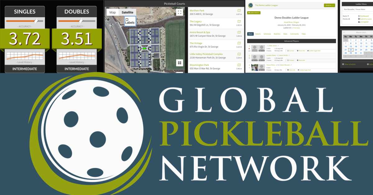Brooklyn Pickleball Team crowd at a public event